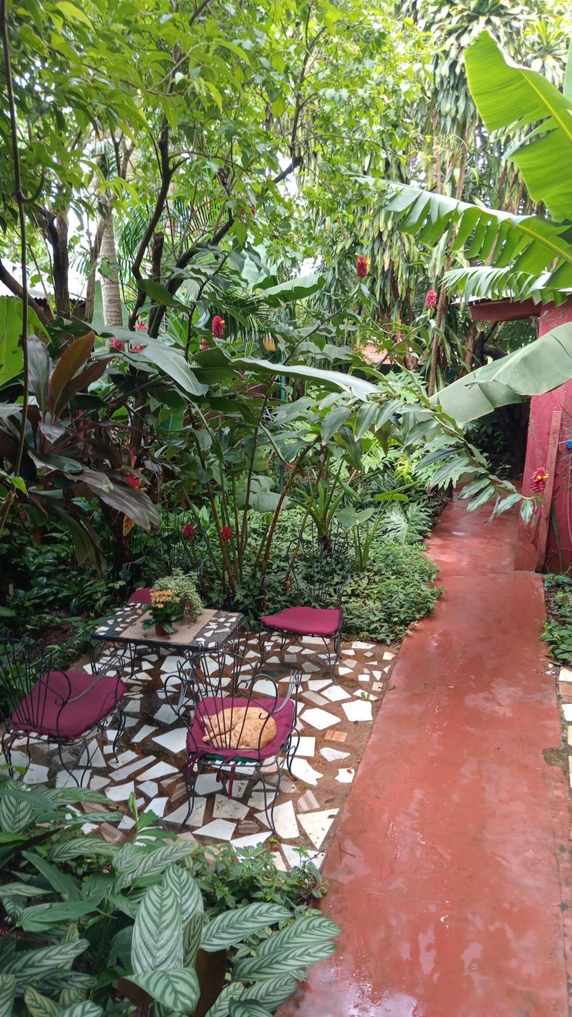 Posada Maria Iguazu Puerto Iguazú Buitenkant foto