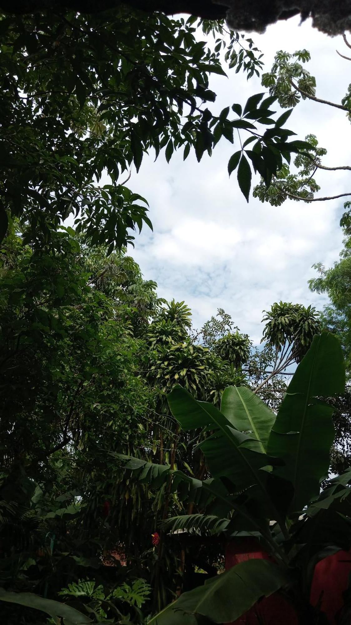 Posada Maria Iguazu Puerto Iguazú Buitenkant foto