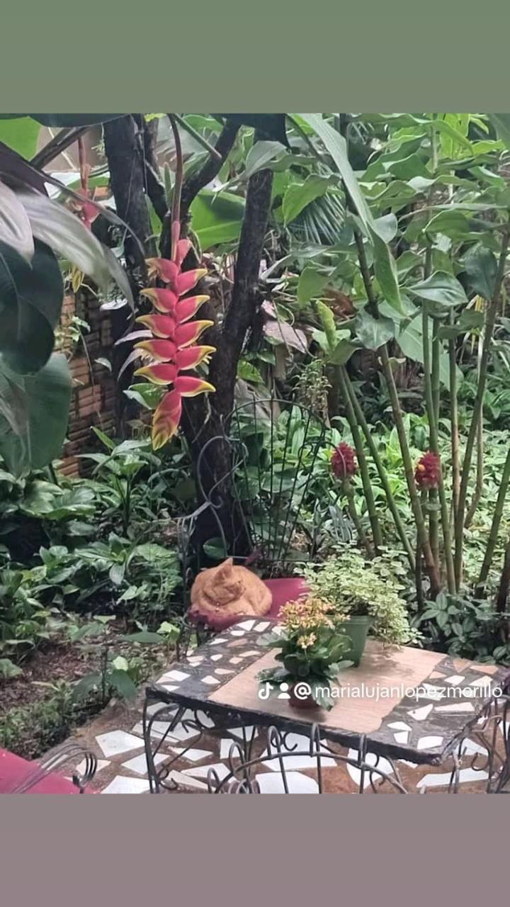 Posada Maria Iguazu Puerto Iguazú Buitenkant foto