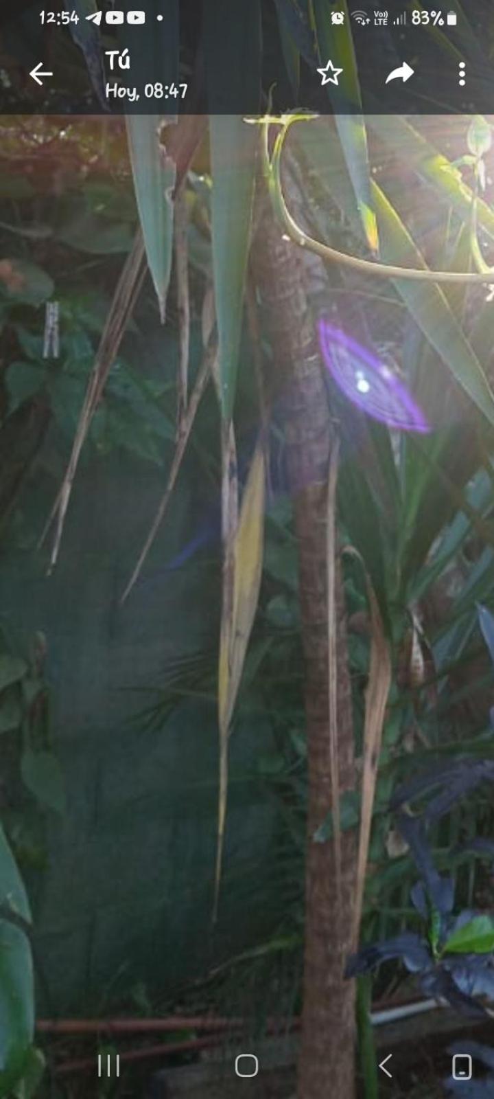 Posada Maria Iguazu Puerto Iguazú Buitenkant foto