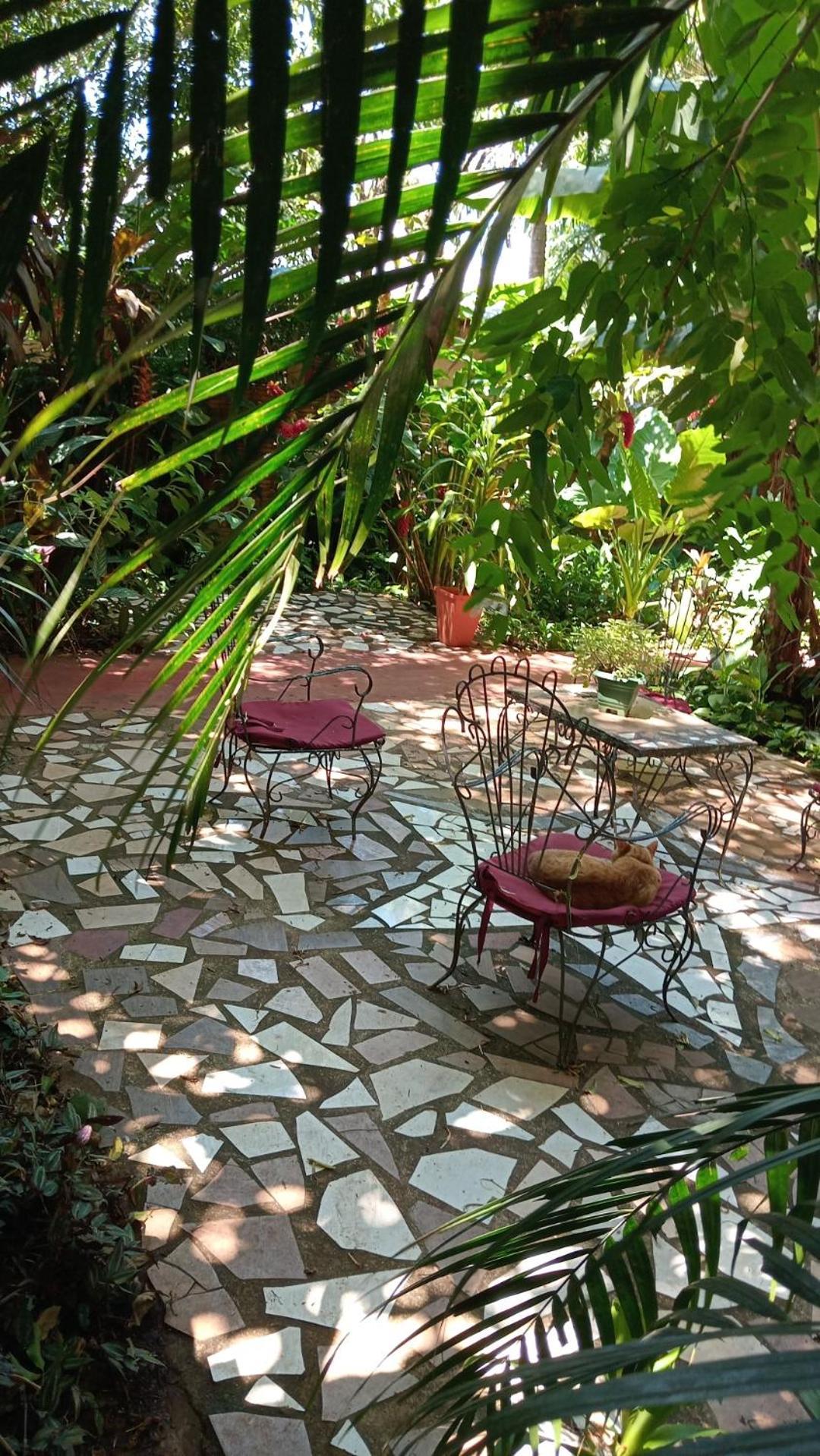 Posada Maria Iguazu Puerto Iguazú Buitenkant foto